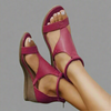 Wine Red / 5